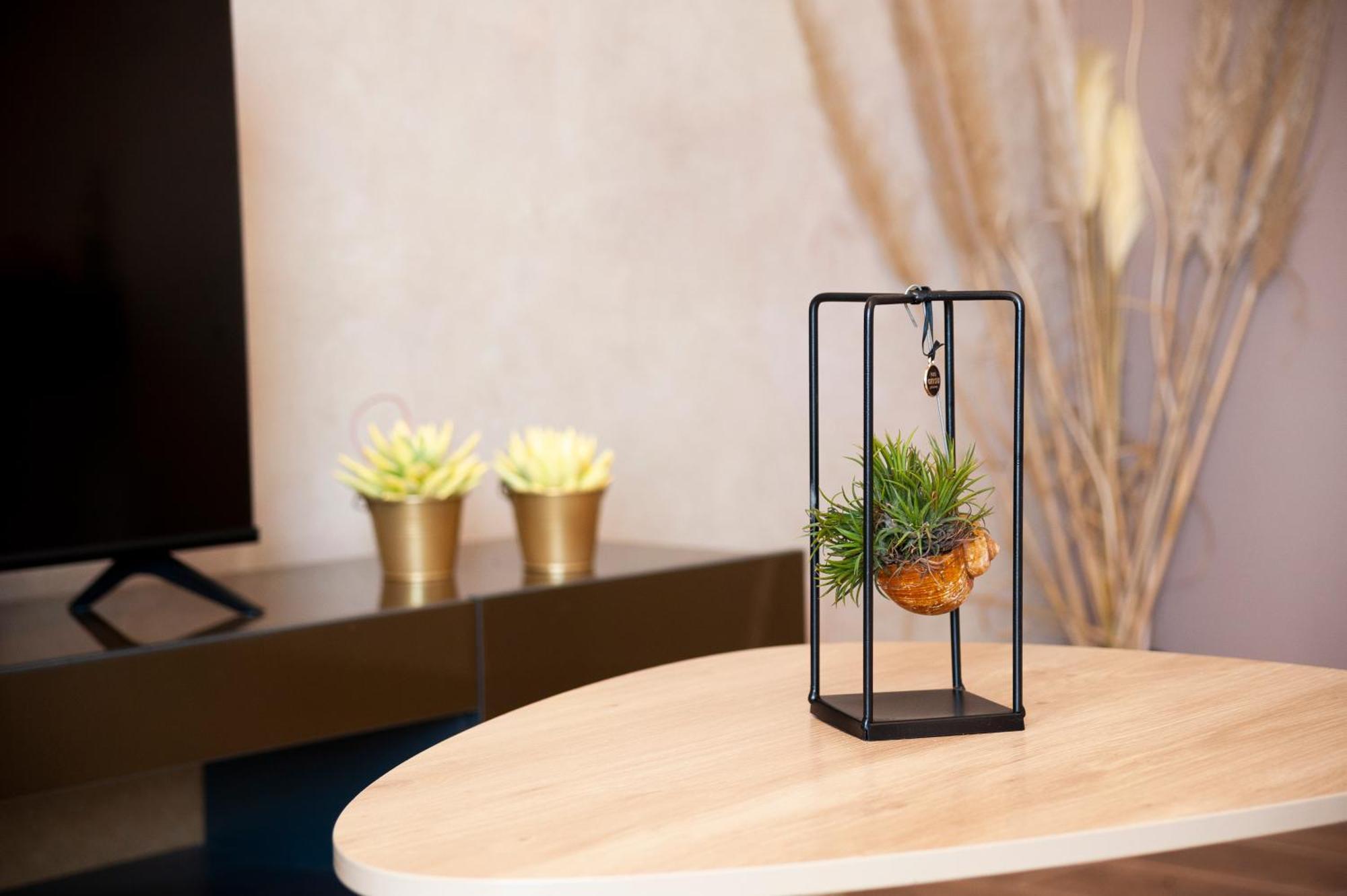 Apartman Lorena Rovinj Bagian luar foto